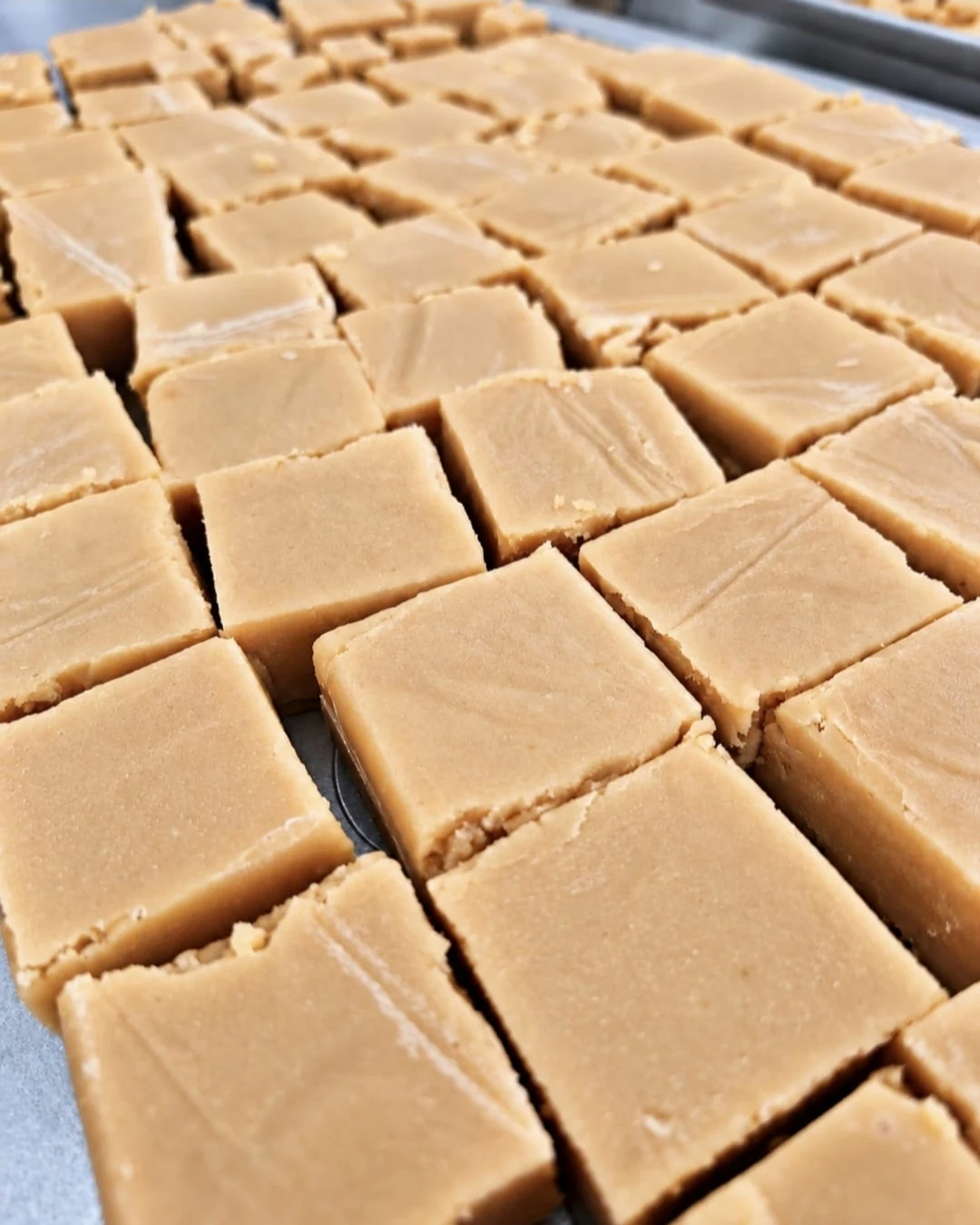 A tray of freshly made traditional vanilla fudge, cut into neat squares